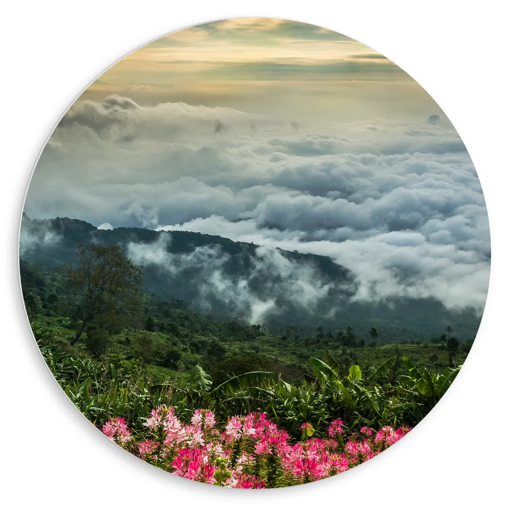 Dibond Muurcirkel - Bergen - Mist - Bloemen - Planten - Wolken