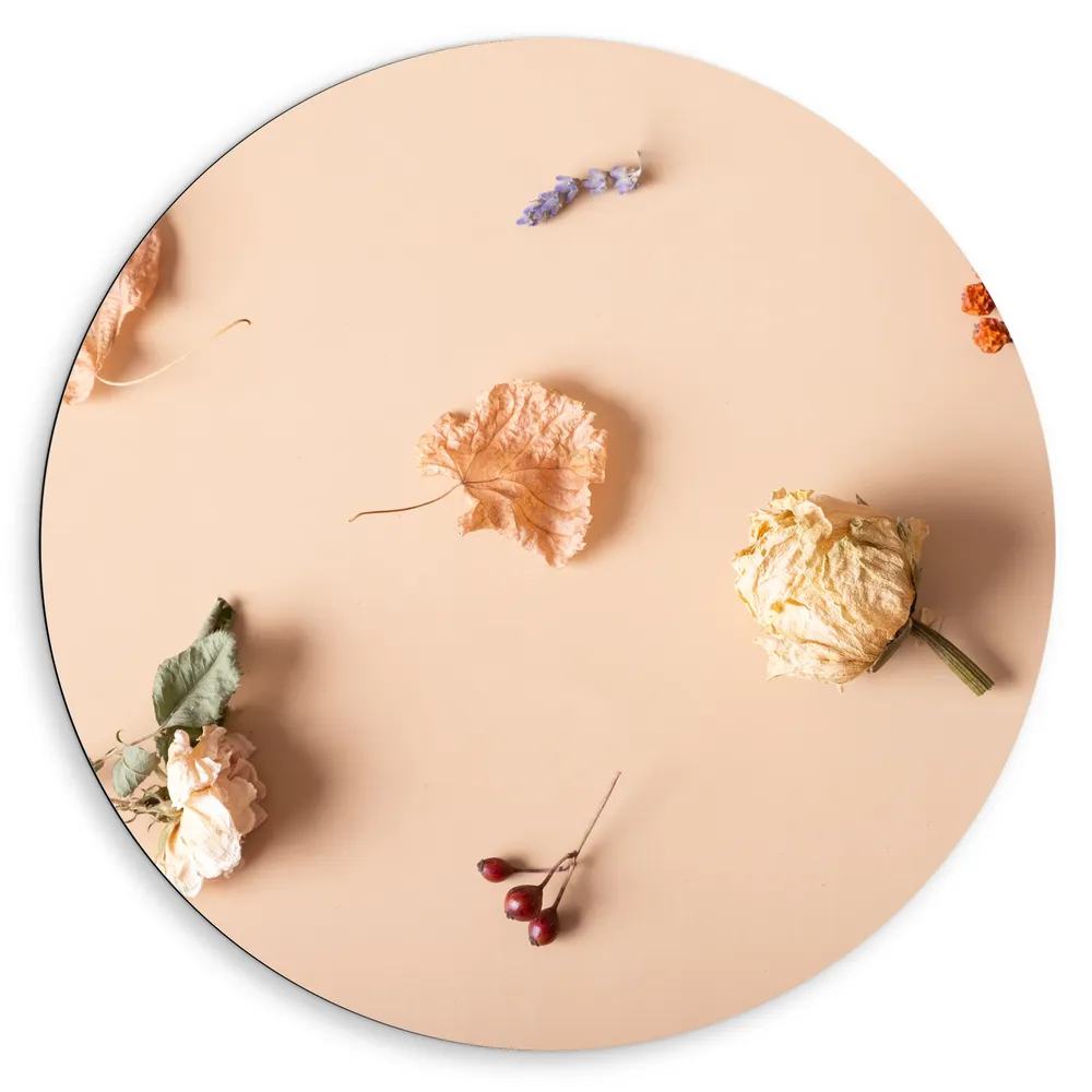 Dibond Muurcirkel - Verschillende Soorten Gedroogde Bloemen tegen Beige Achtergrond