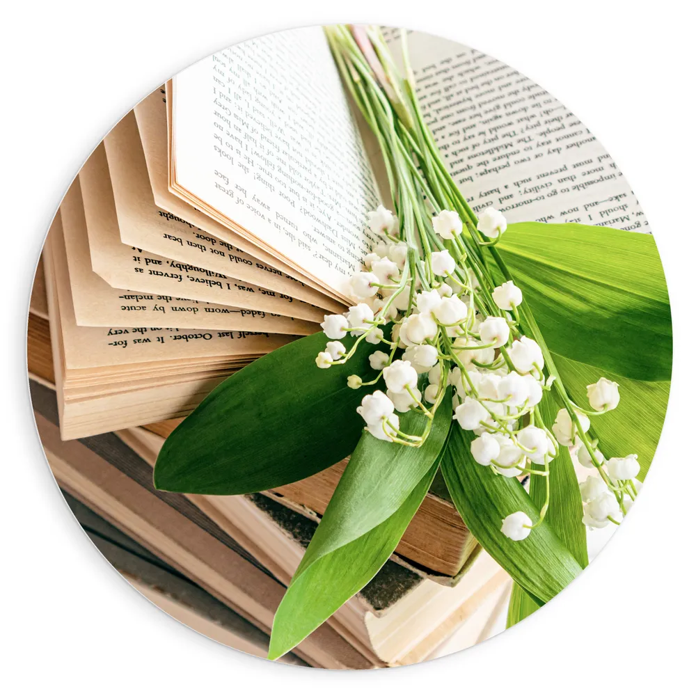 Dibond Muurcirkel - Boeket Kleine Witte Bloemen Liggend op Stapel Boeken