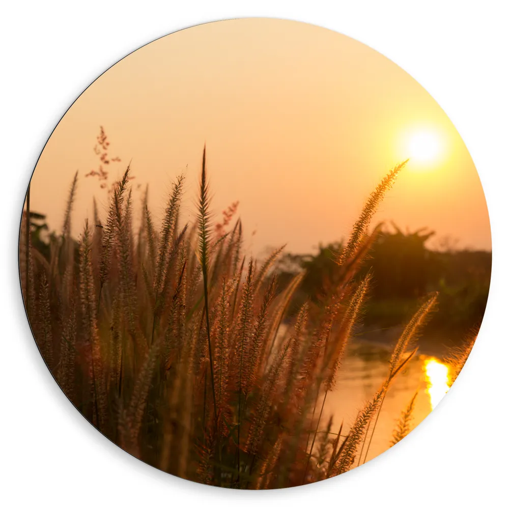 Dibond Muurcirkel - Zonsondergang bij Grassen in het Weiland