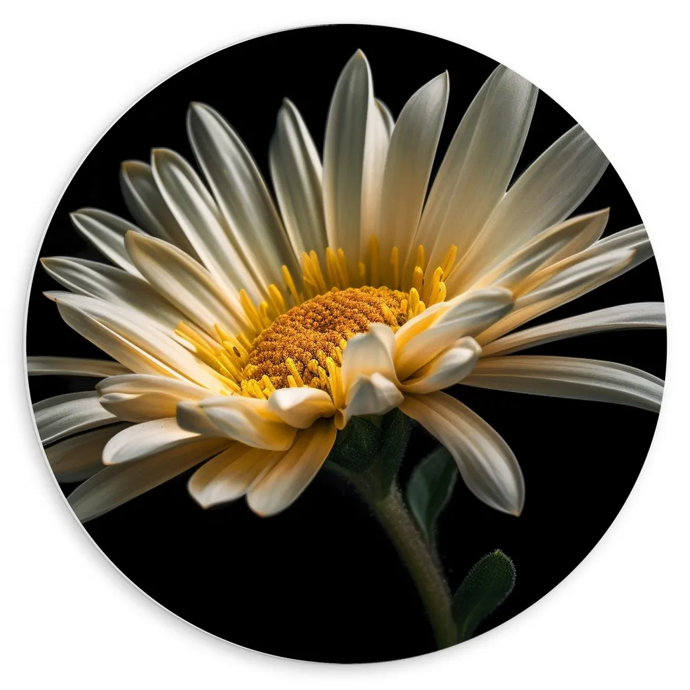 Dibond Muurcirkel - Bloem - Kleuren