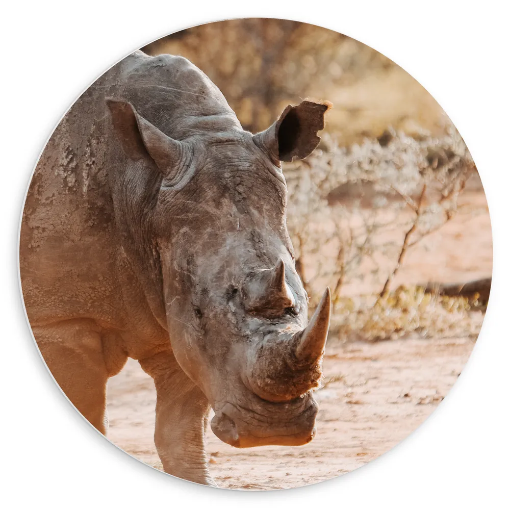 Dibond Muurcirkel - Lopende Neushoorn door het Landschap van Afrika
