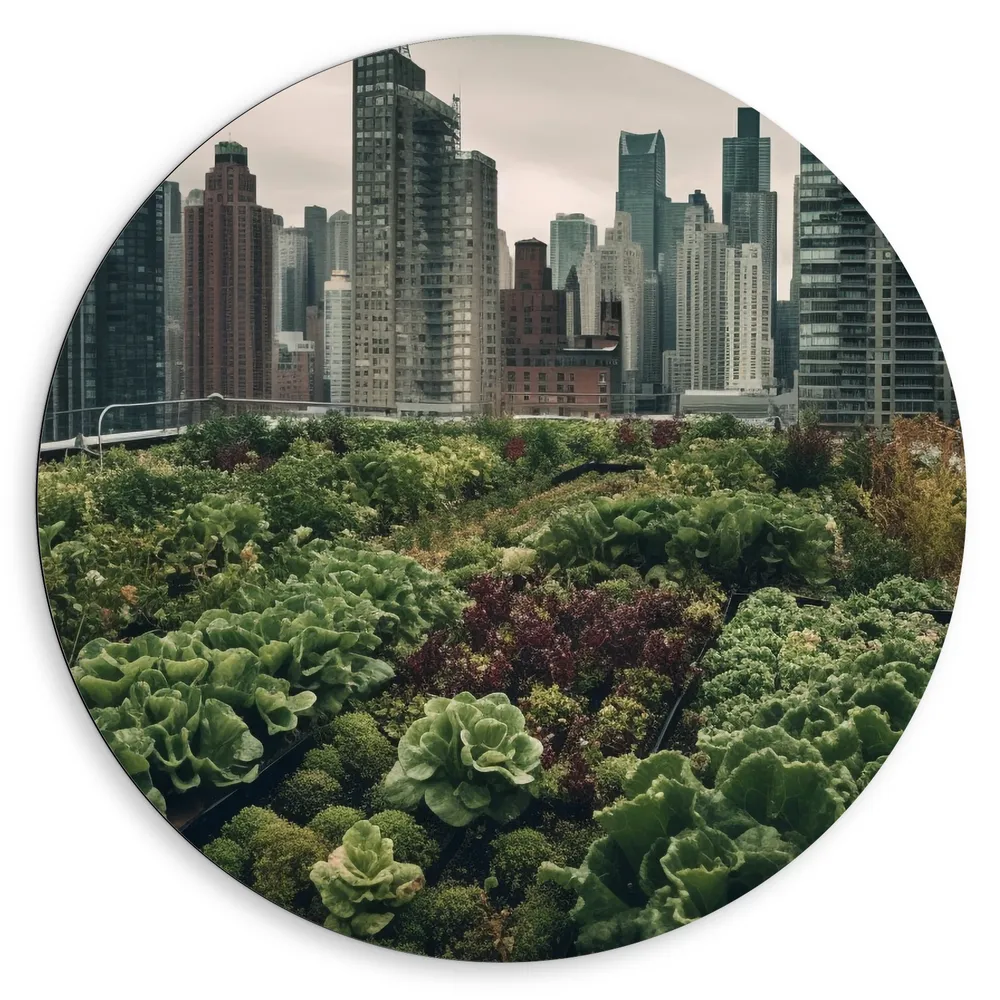 Dibond Muurcirkel - Stad - Gebouwen - Planten - Groen