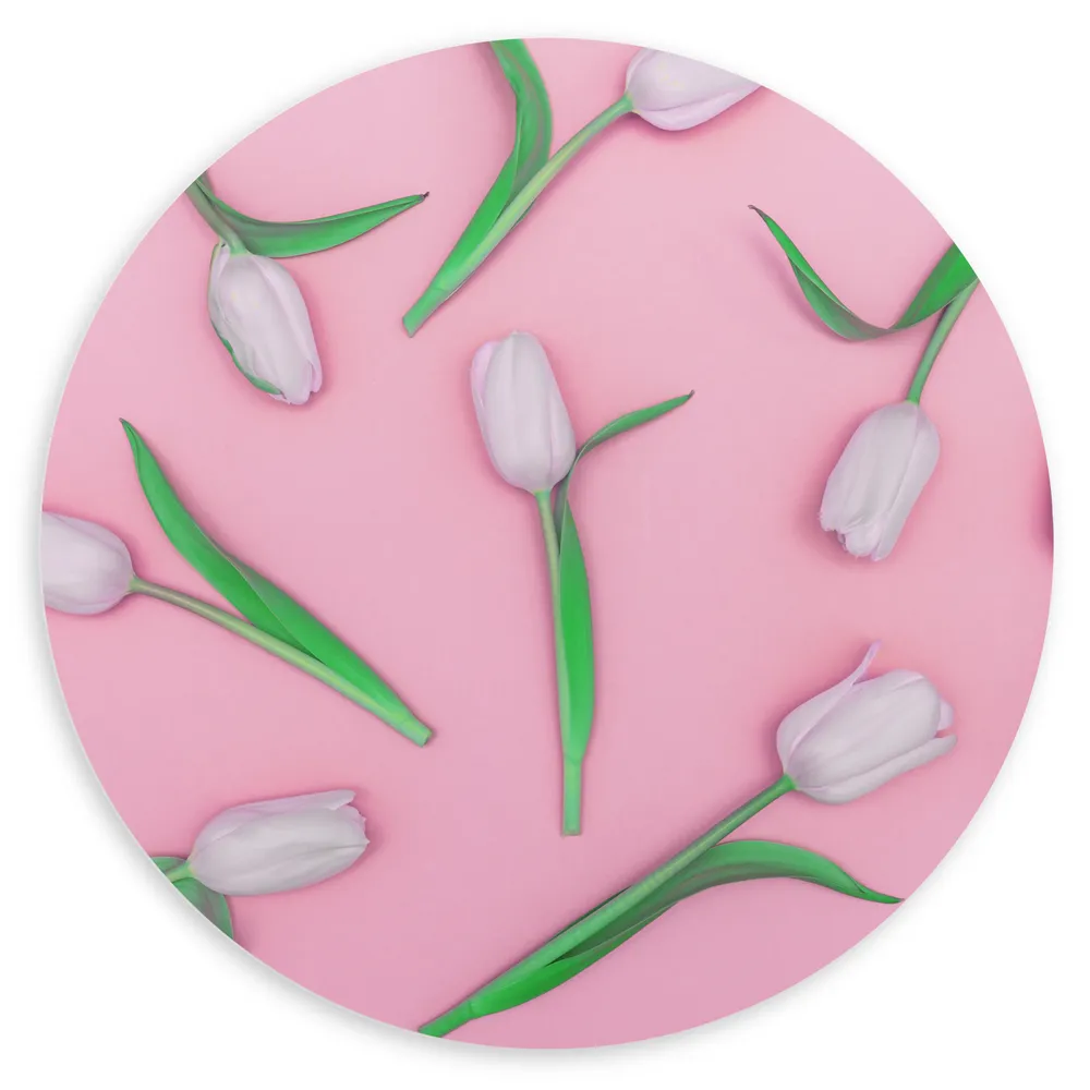 Dibond Muurcirkel - Groepje Lichtroze Tulpen op Roze Oppervlak