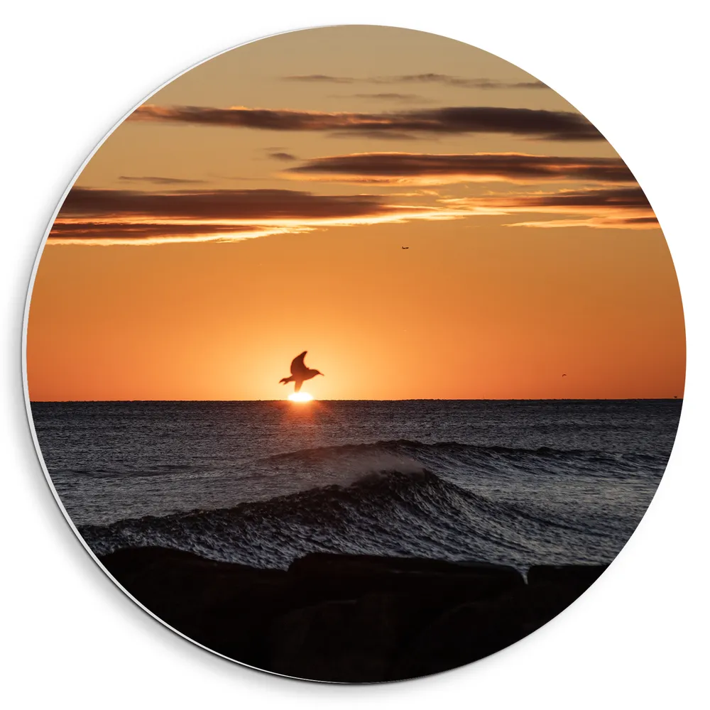 Dibond Muurcirkel - Vogel Vliegend boven Zee met Hoge Golven tijdens Zonsondergang