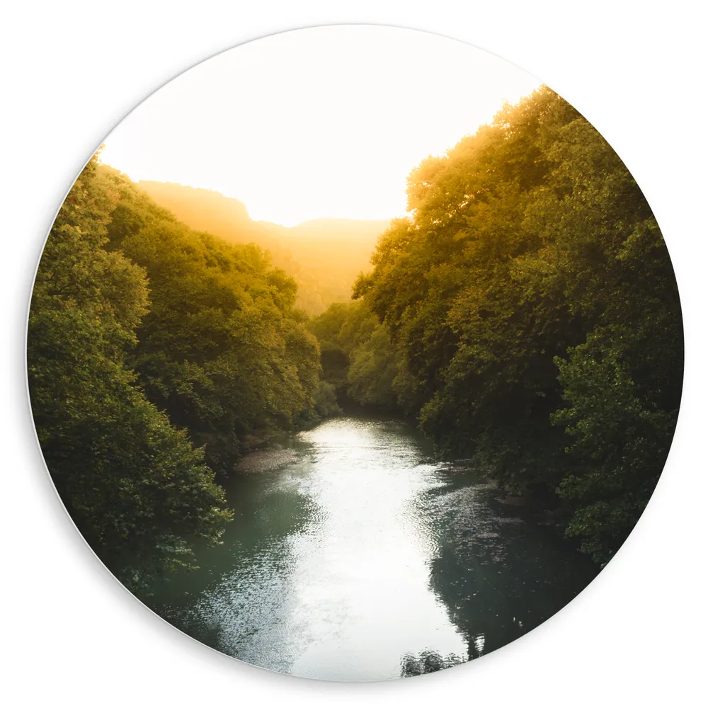 Dibond Muurcirkel - Kalme Rivier tussen Bossen bij Zonsopkomst