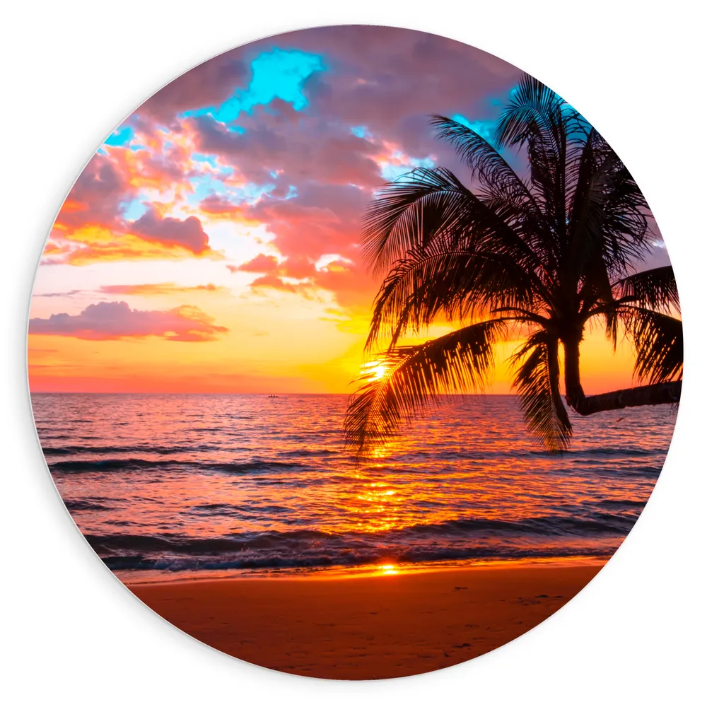 Dibond Muurcirkel - Palmboom op Prachtig Verlaten Strand met Zonsondergang