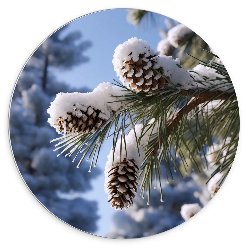 Dibond Muurcirkel - Dennenappels - Boom - Sneeuw