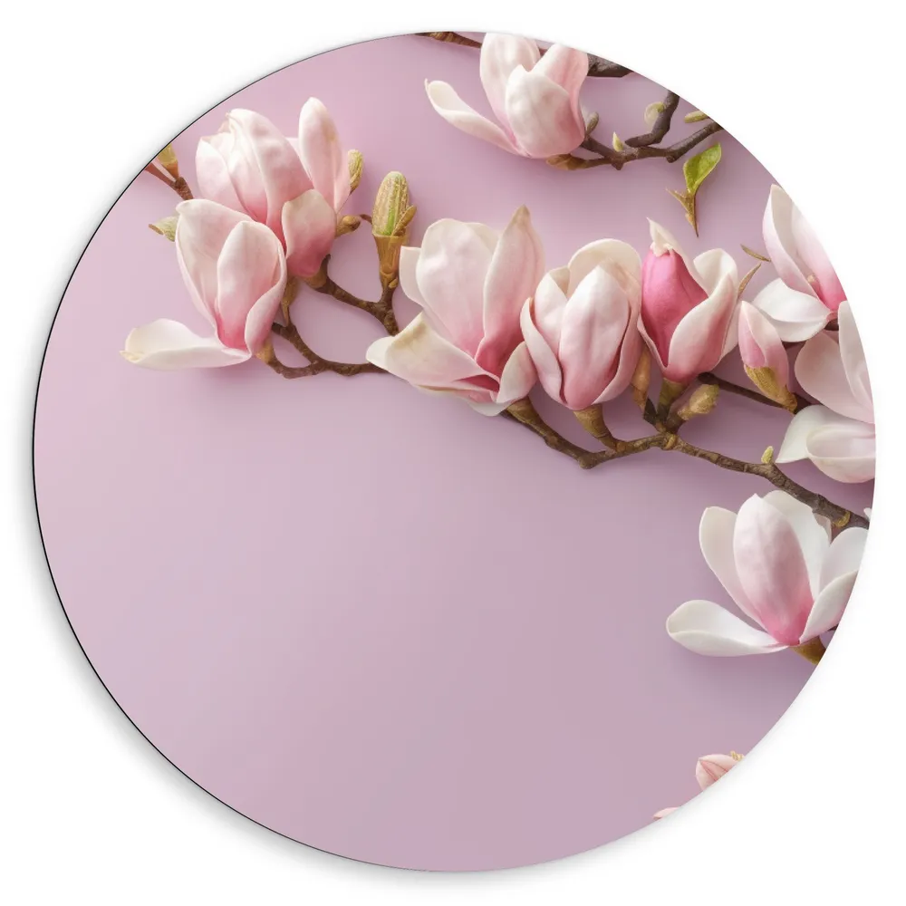 Dibond Muurcirkel - Roze Magnolia Bloemen bij Roze Achtergrond