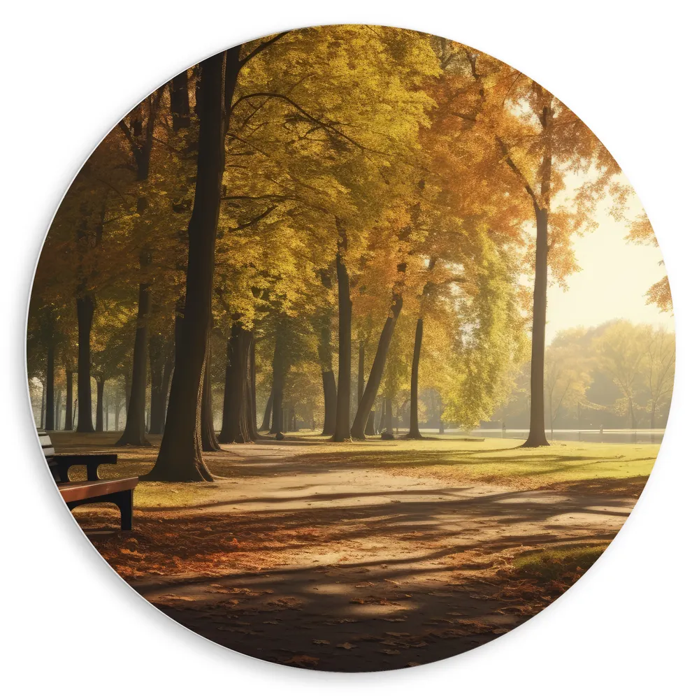 Dibond Muurcirkel - Bomen - Bankje - Park - Bladeren