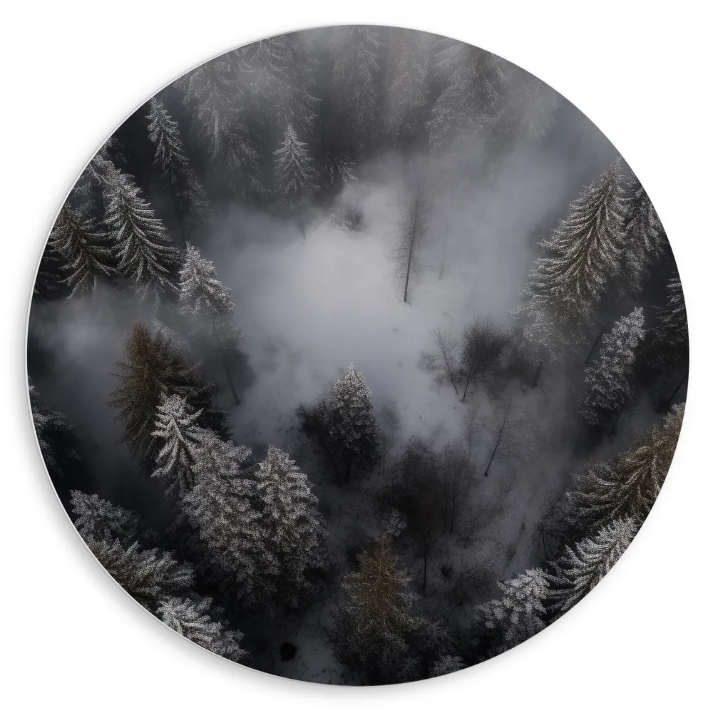 Dibond Muurcirkel - Bomen - Bos - Sneeuw - Bovenaanzicht