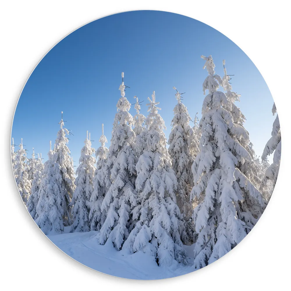 Dibond Muurcirkel - Sneeuw - Bomen - Bos - Landschap
