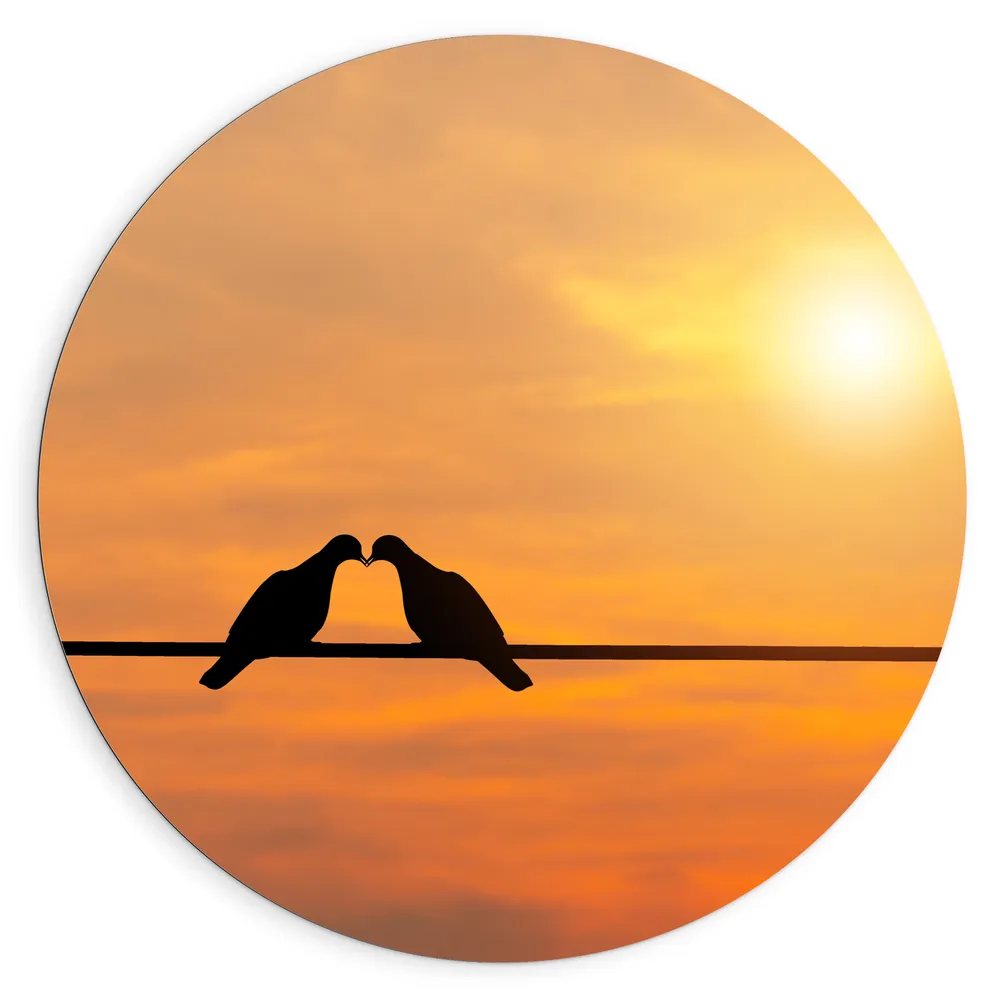 Dibond Muurcirkel - Silhouet van Liefdevolle Vogels tegen Felle Zon