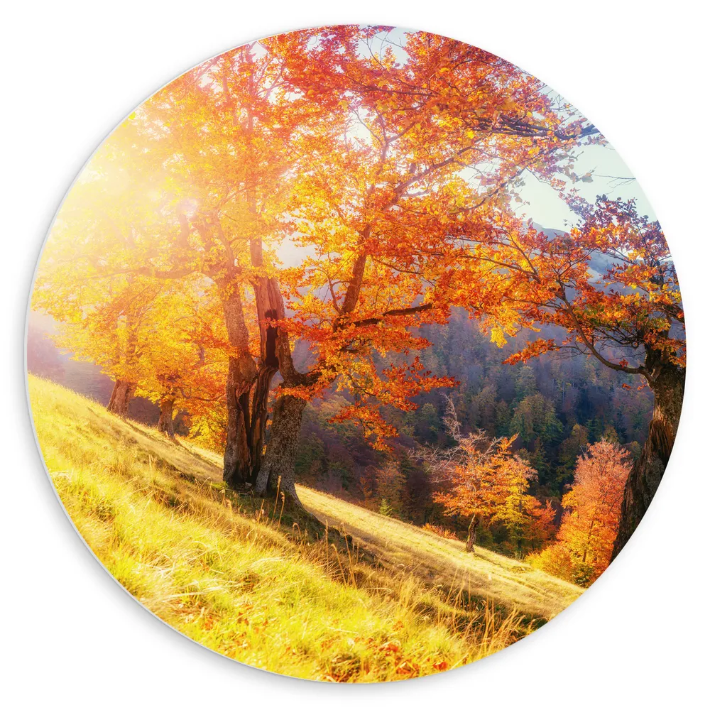 Dibond Muurcirkel - Bomen op Rand van Berg in Herfst Tinten