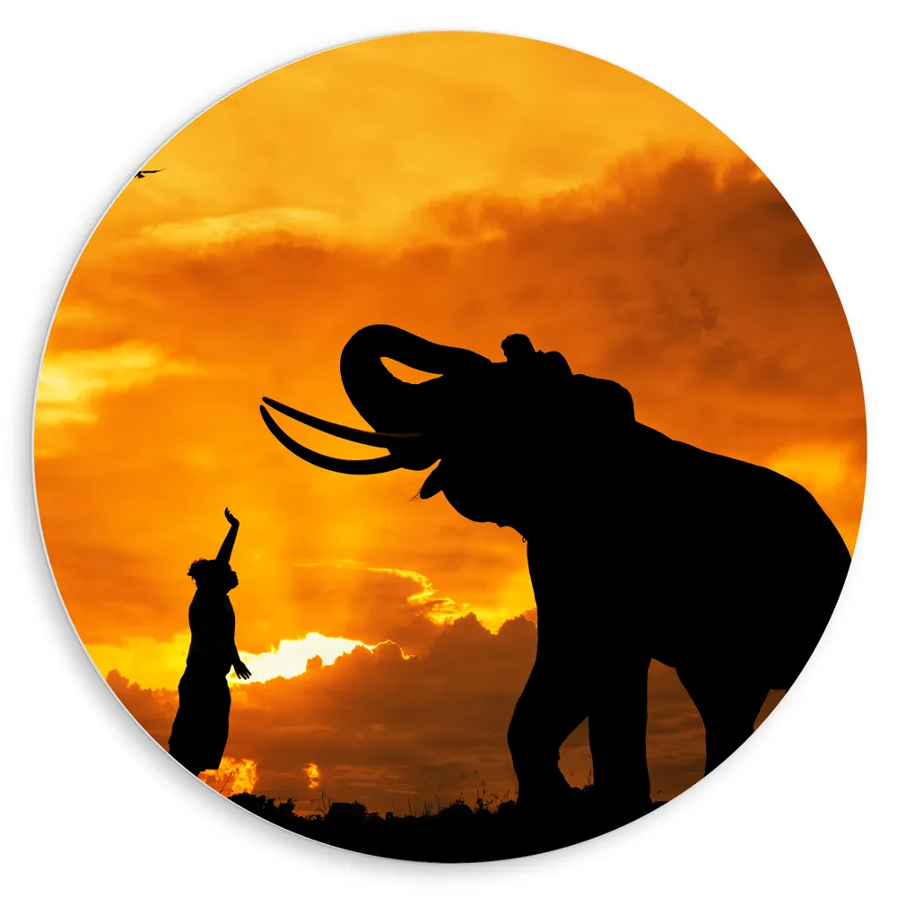 Dibond Muurcirkel - Silhouet van Olifant met Persoon en Vogels in Afrika