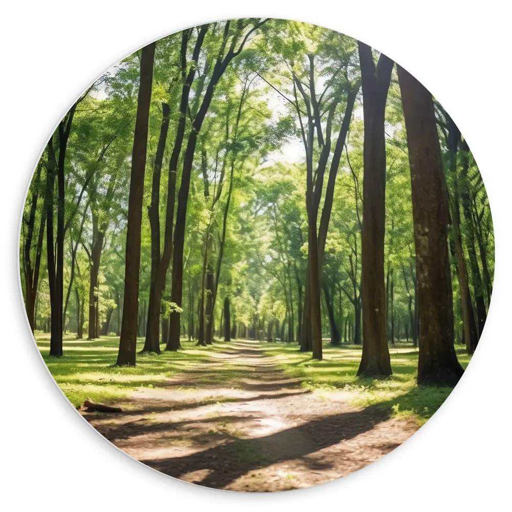 Dibond Muurcirkel - Bomen - Pad - Bos - Gras - Groen - Bruin