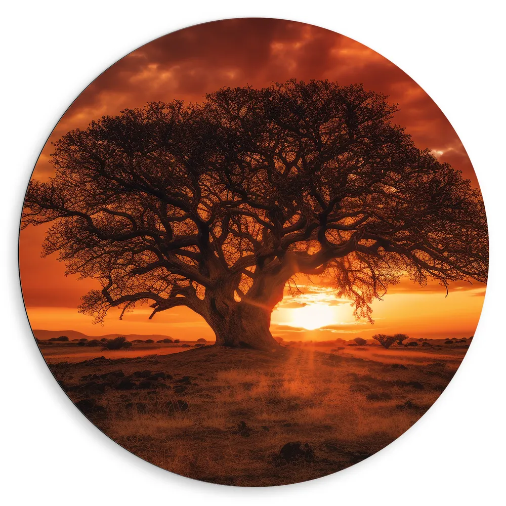 Dibond Muurcirkel - Boom - Landschap - Zonsondergang - Gras - Oranje