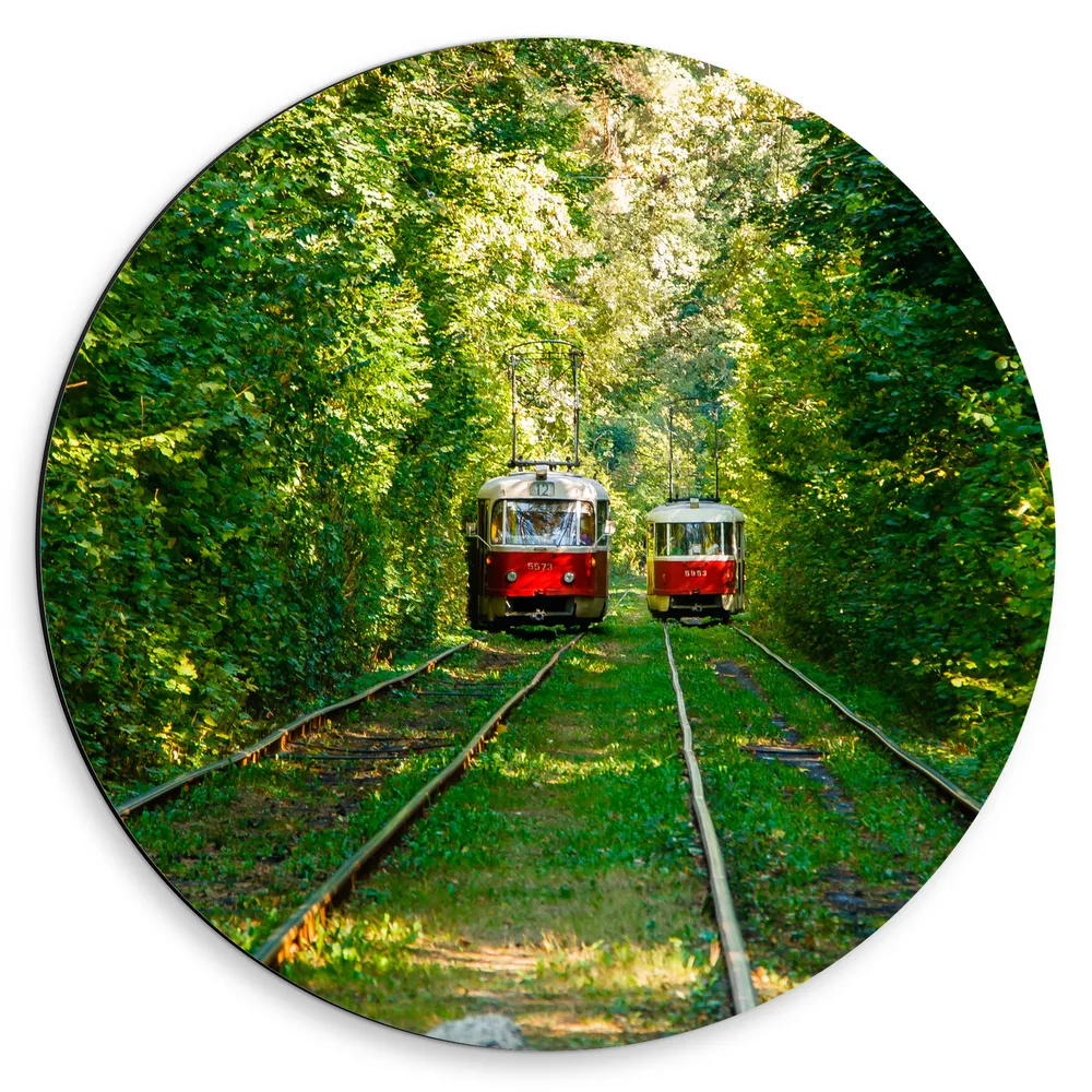 Dibond Muurcirkel - Twee Rode Trams op Tramrails door Groenrijk Bos
