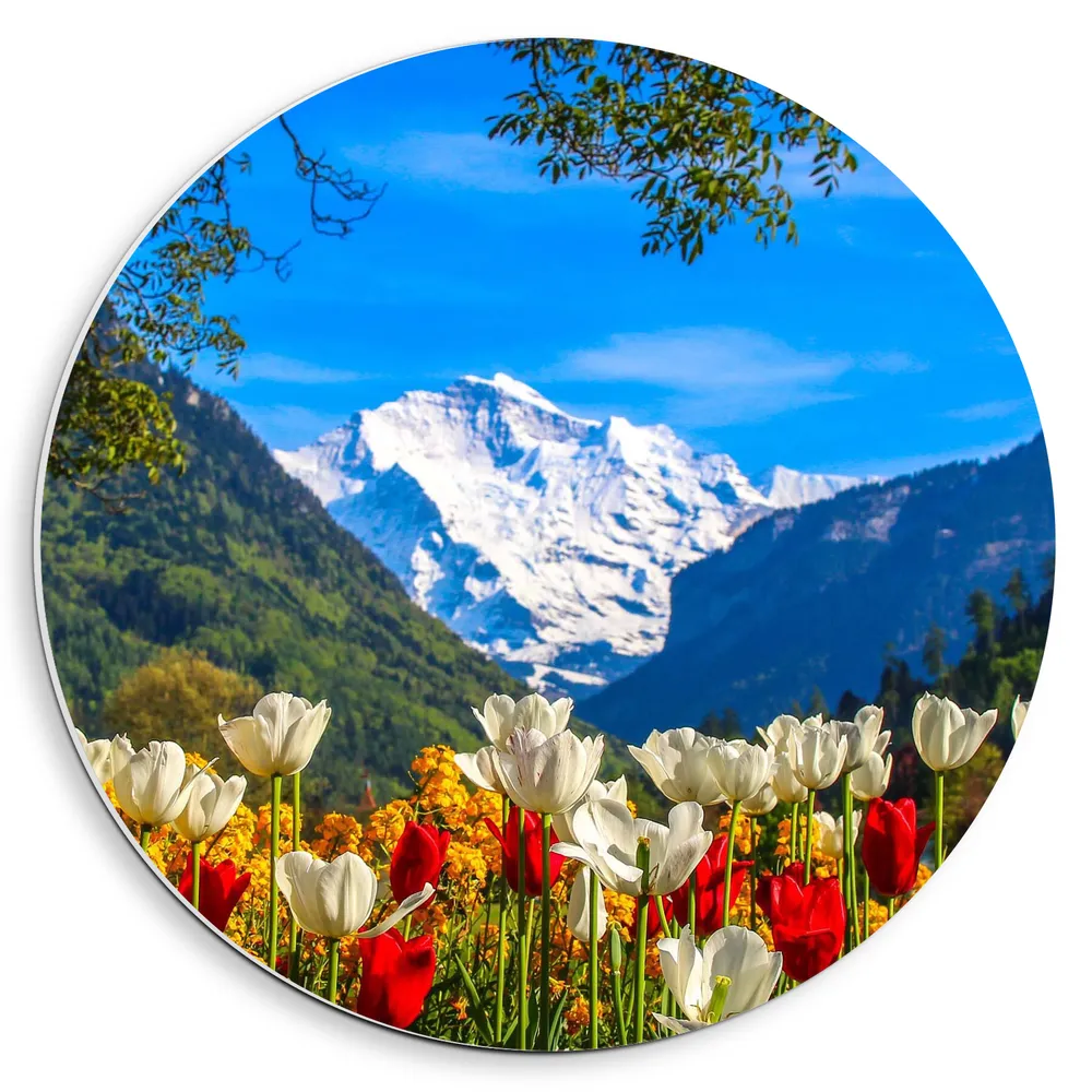 Dibond Muurcirkel - Kleurrijk Bloemenveld met Berggebied in de Achtergrond