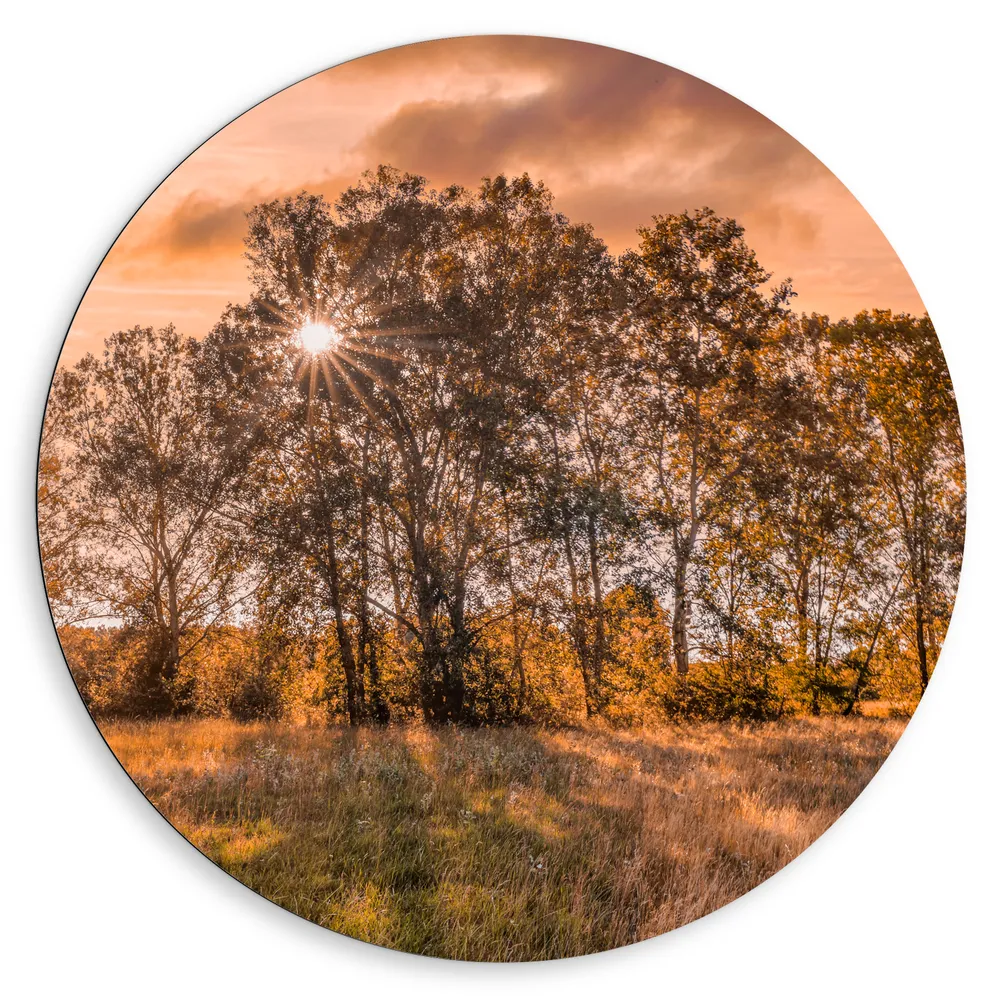 Dibond Muurcirkel - Zonsondergang tussen de Bomen