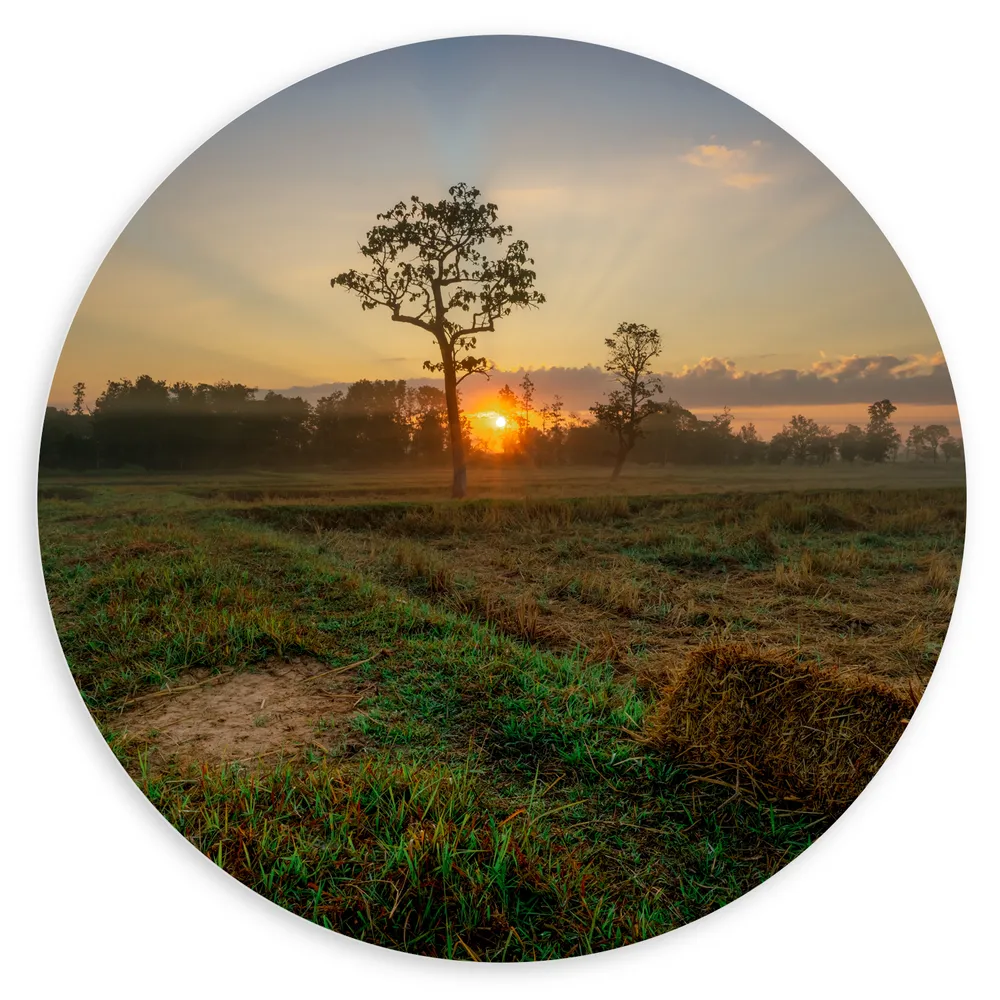 Dibond Muurcirkel - Opkomende Zon bij Weiland vol Geoogst Graan