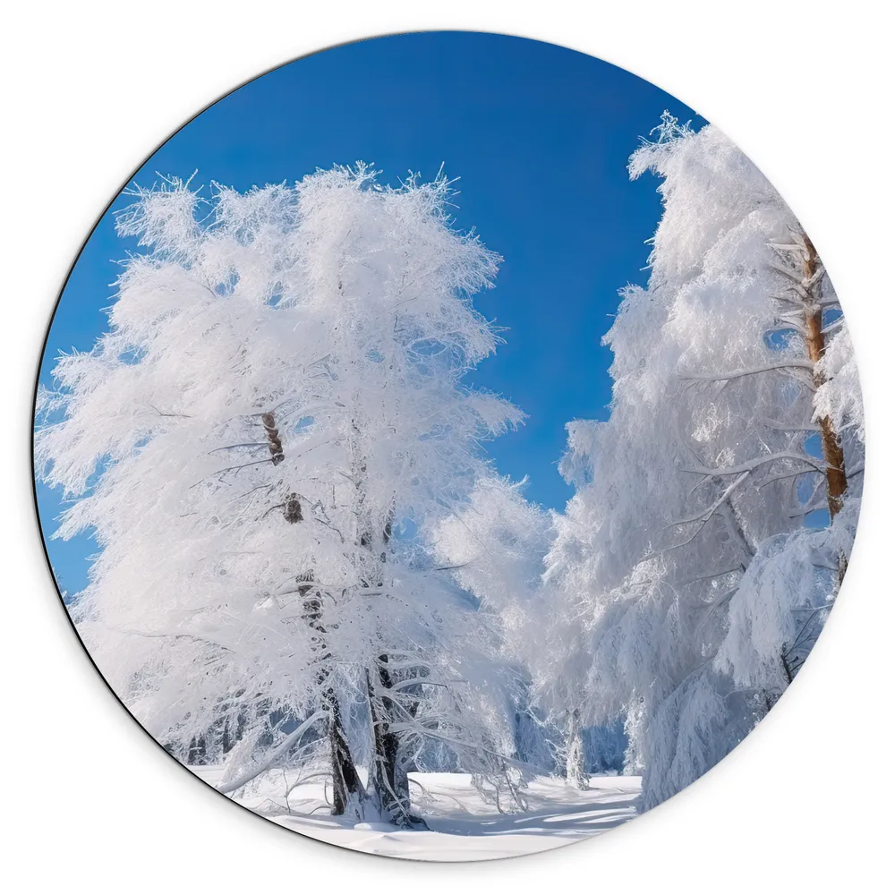 Dibond Muurcirkel - Bomen - Sneeuw - Blauw - Wit
