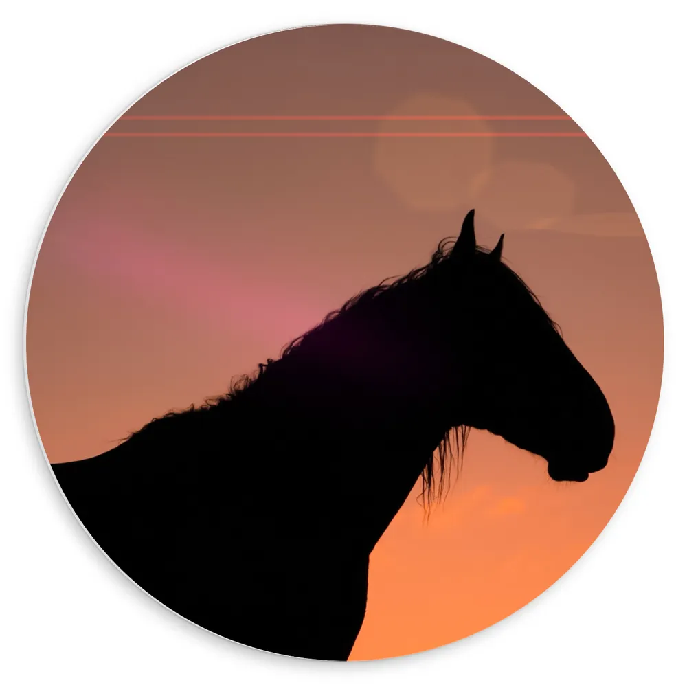 Dibond Muurcirkel - Silhouet van Paard met Lange Manen tegen Rozekleurige Lucht