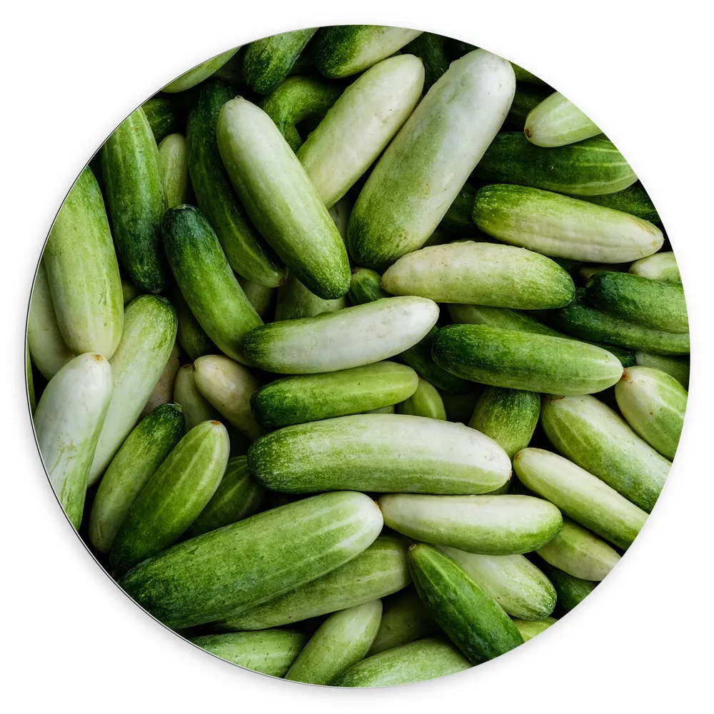 Dibond Muurcirkel - Hoopje Groene Komkommers