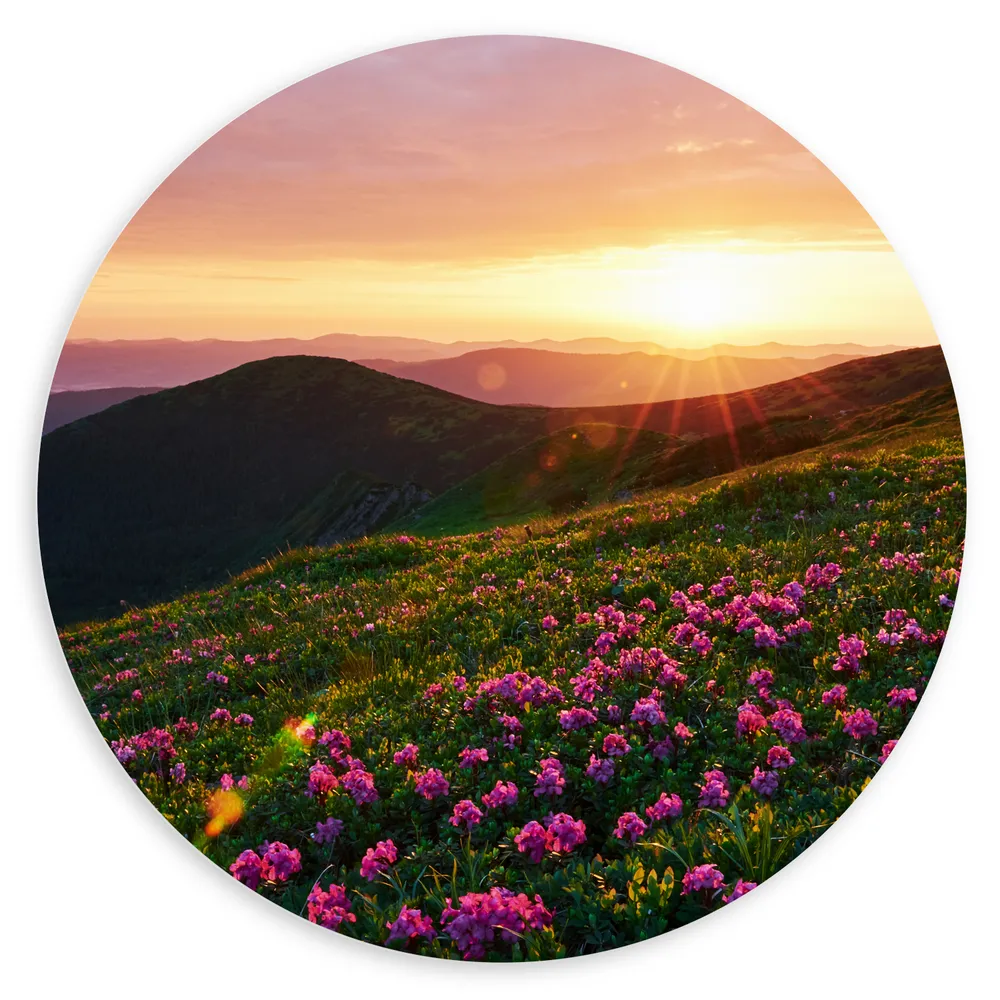 Dibond Muurcirkel - Zonsondergang Verdwijnend achter Gebergte vol Paarse Bloemen