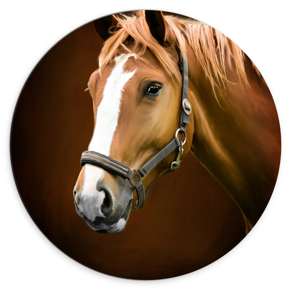 Dibond Muurcirkel - Kop en Hals van Bruin Paard met Witte Bles