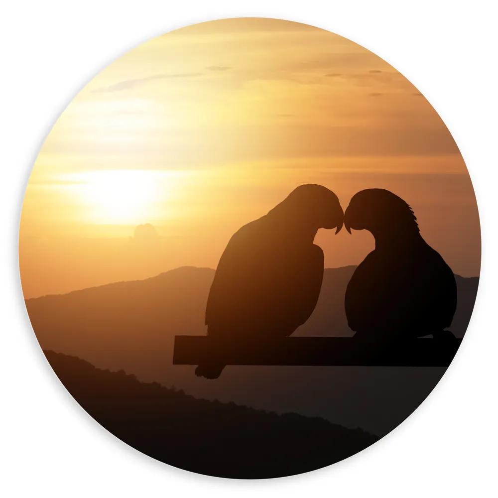Dibond Muurcirkel - Silhouet van Verliefd Duivenkoppel tijdens Zonsondergang