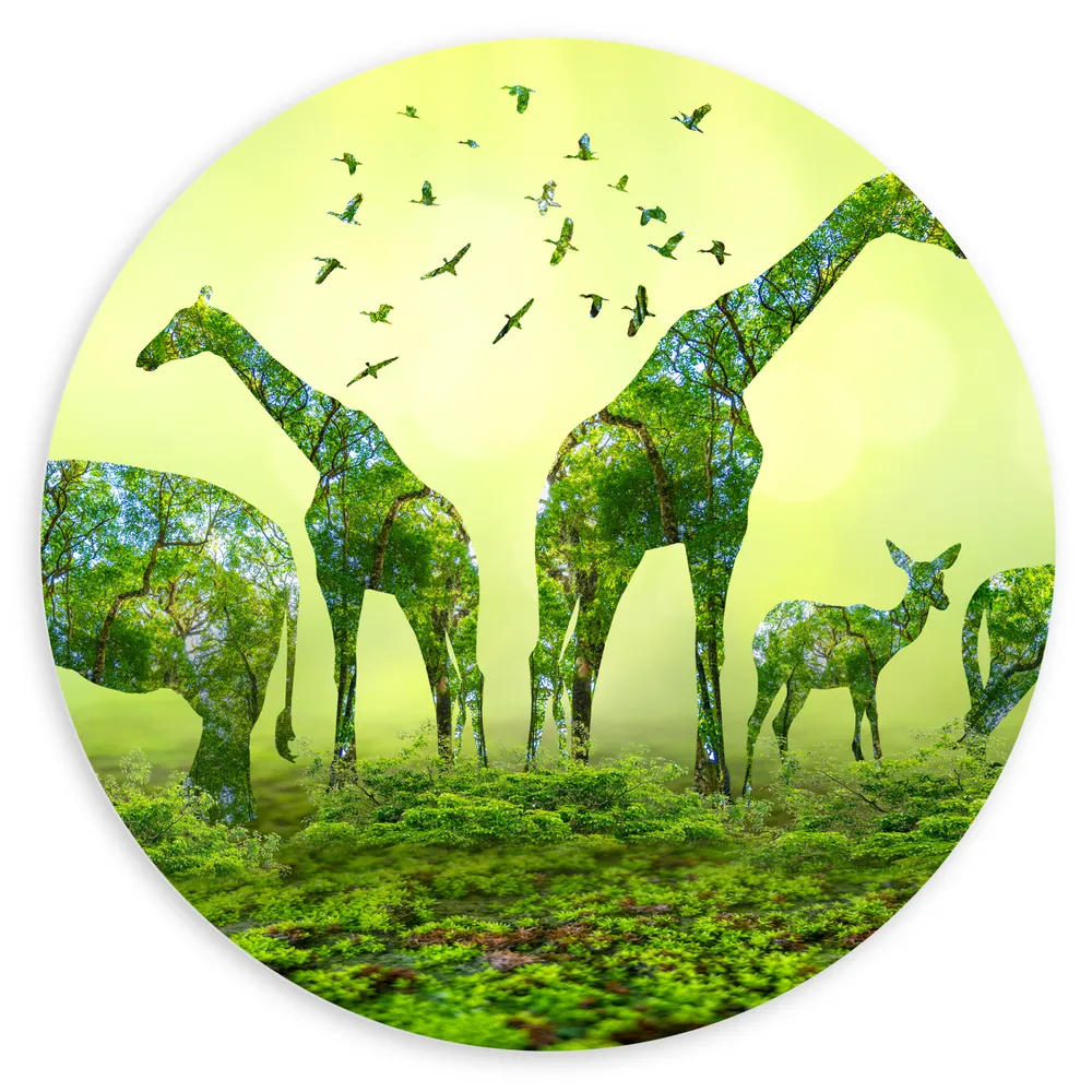 Dibond Muurcirkel - Silhouet van Bomen in de vorm van een Wild Dier
