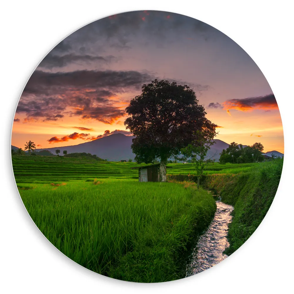 Dibond Muurcirkel - Sloot door Natuurgebied van Indonesische Rijstvelden