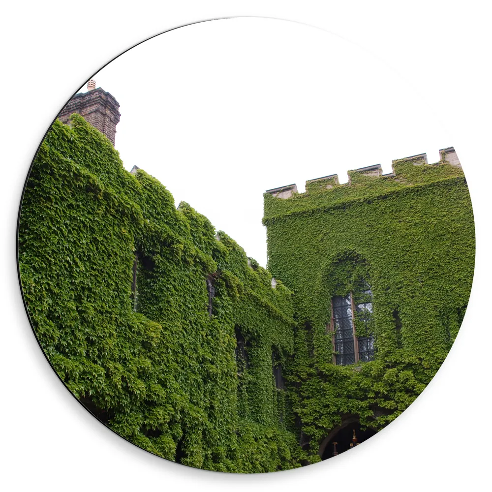 Dibond Muurcirkel - Oud Kasteel Begroeid door Planten
