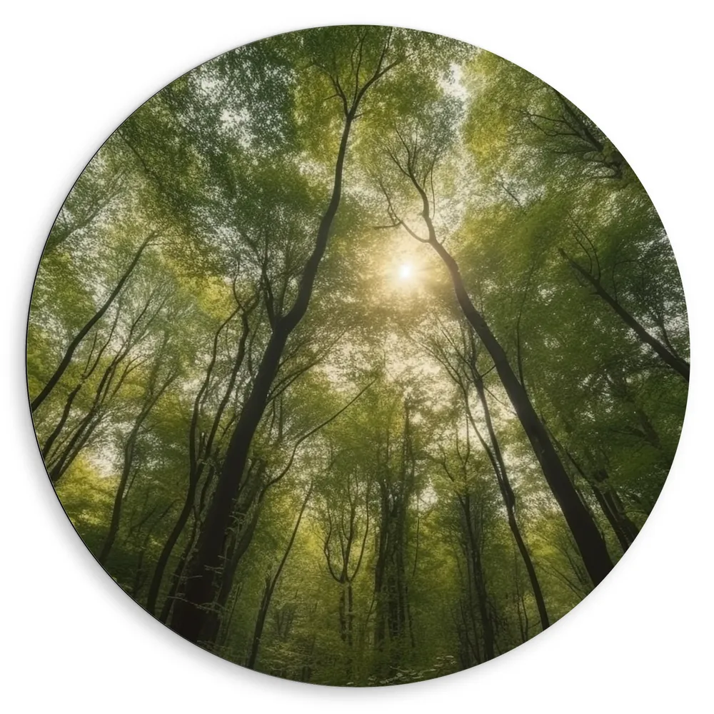 Dibond Muurcirkel - Bomen - Bos - Zon - Groen