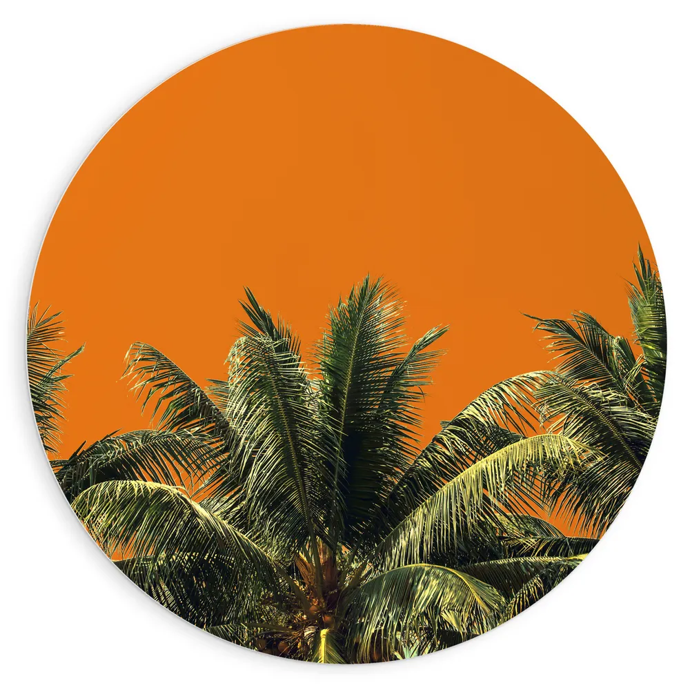 Dibond Muurcirkel - Toppen van Palmbomen tegen Oranje Lucht