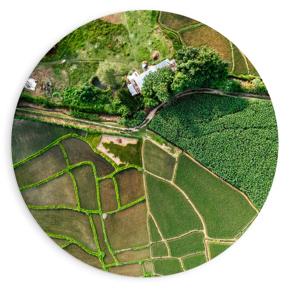 Dibond Muurcirkel - Bovenaanzicht van een Landschap Gevuld met Rijstvelden