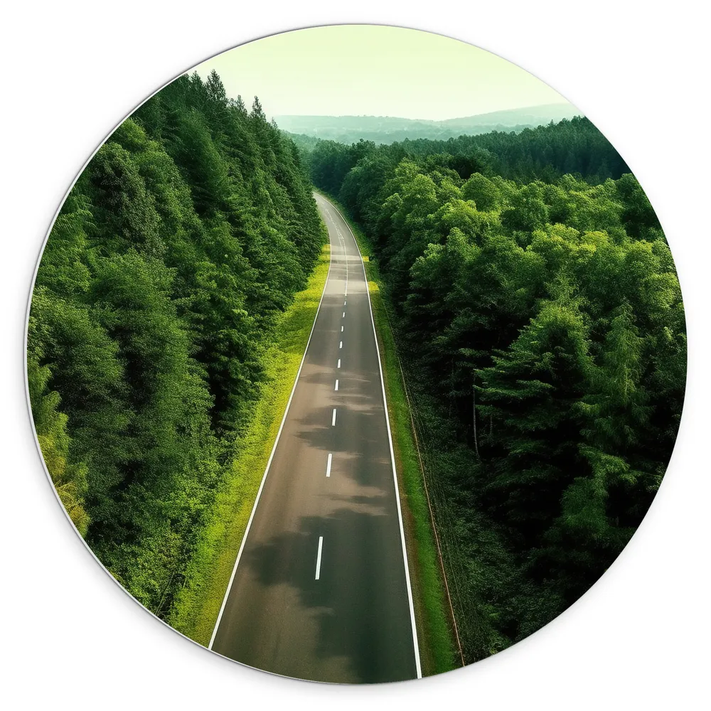 Dibond Muurcirkel - Weg - Bos - Bomen