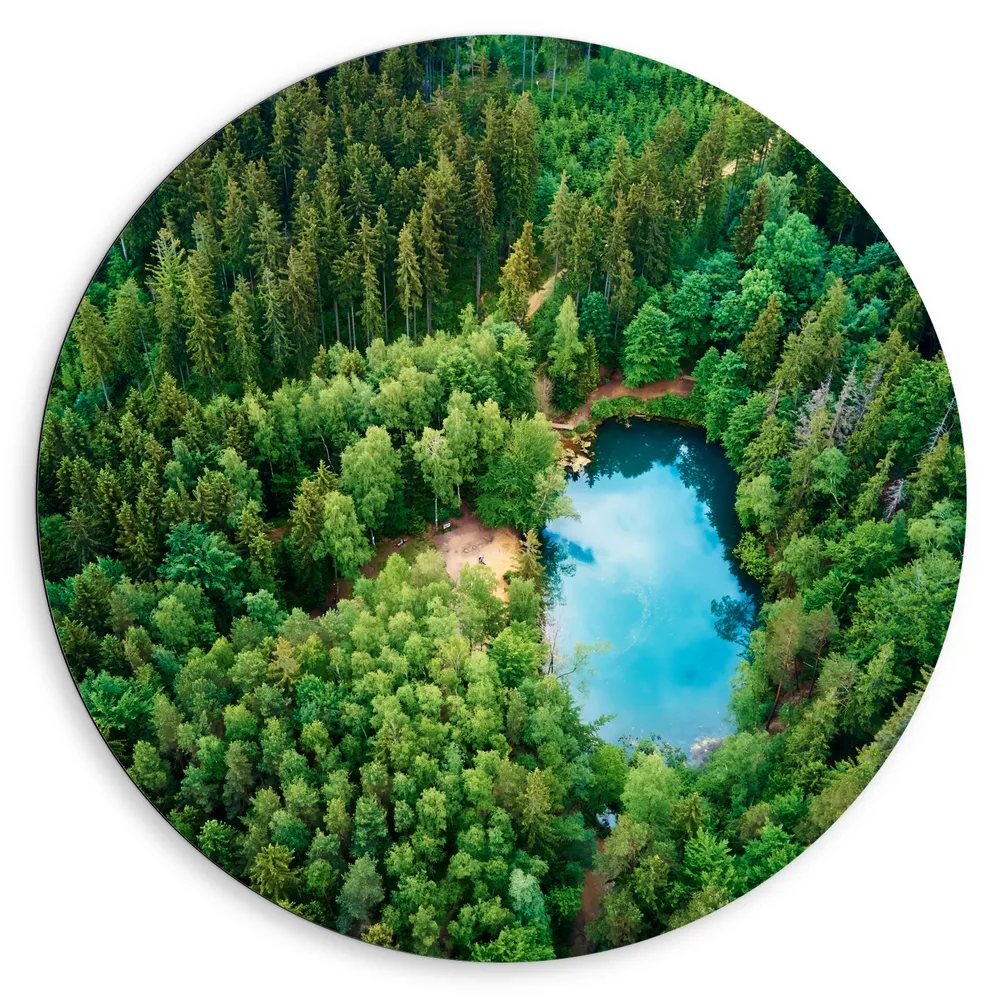 Dibond Muurcirkel - Bomen - Water - Bossen - Pad