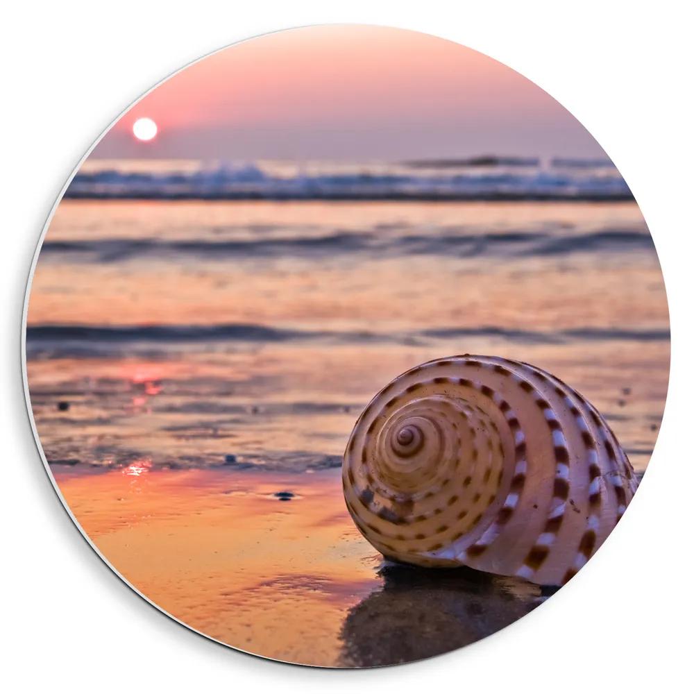 Dibond Muurcirkel - Zee - strand - Schelp - Zonsondergang