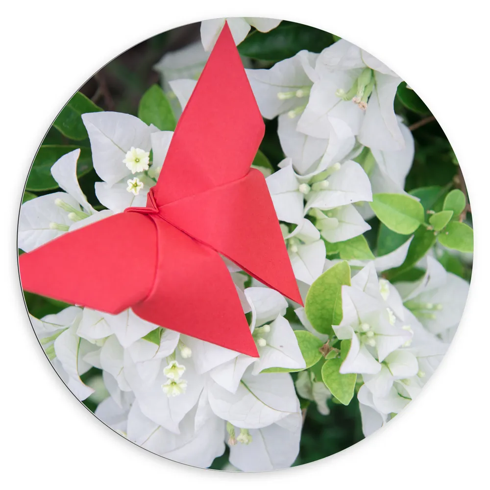 Dibond Muurcirkel - Rode Origami Vlinder op Witte Bloeiende Bloemen