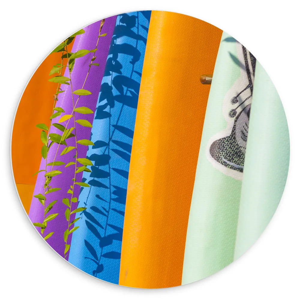 Dibond Muurcirkel - Rij Verschillende Kleuren Surfboards