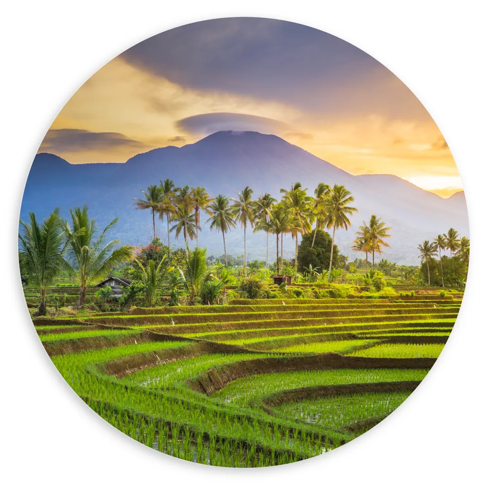 Dibond Muurcirkel - Rijstvelden in Thailand langs Bergen