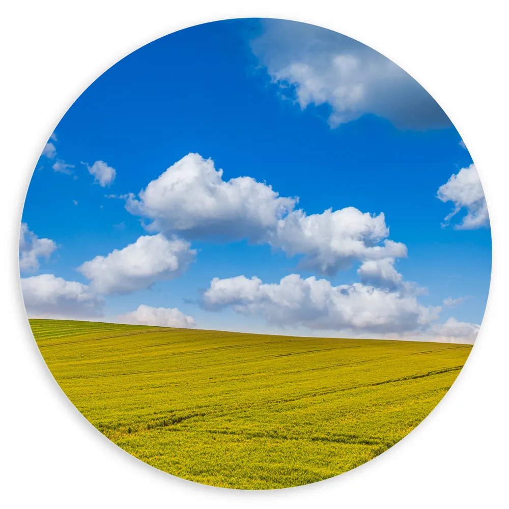 Dibond Muurcirkel - Groen Grasland met Blauwe Lucht