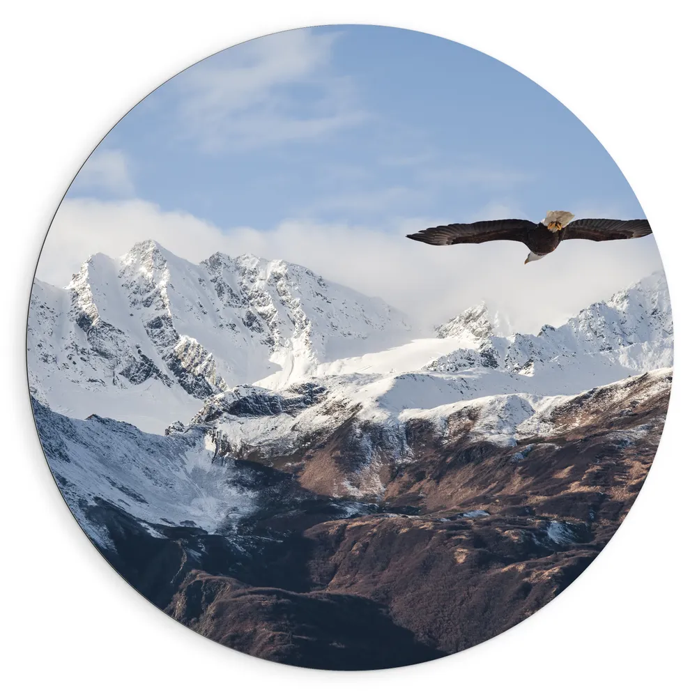 Dibond Muurcirkel - Bergen - Vogel - Adelaar - Sneeuw