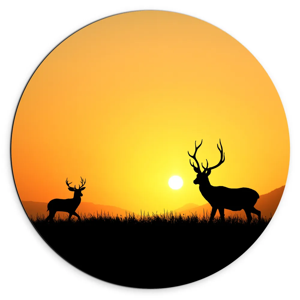 Dibond Muurcirkel - Silhouet van Herten rennend door het Weiland bij Zonsondergang