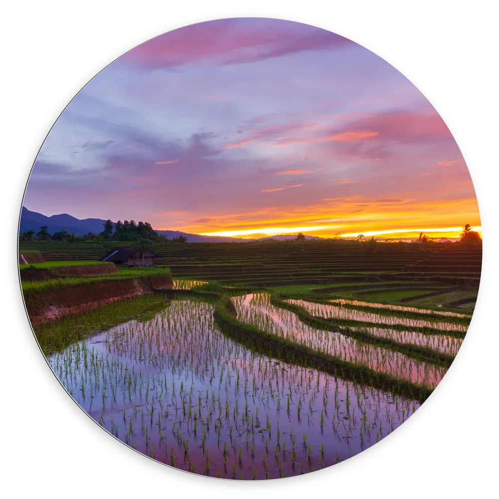 Dibond Muurcirkel - Zonsondergang bij de Rijstvelden in Indonesië