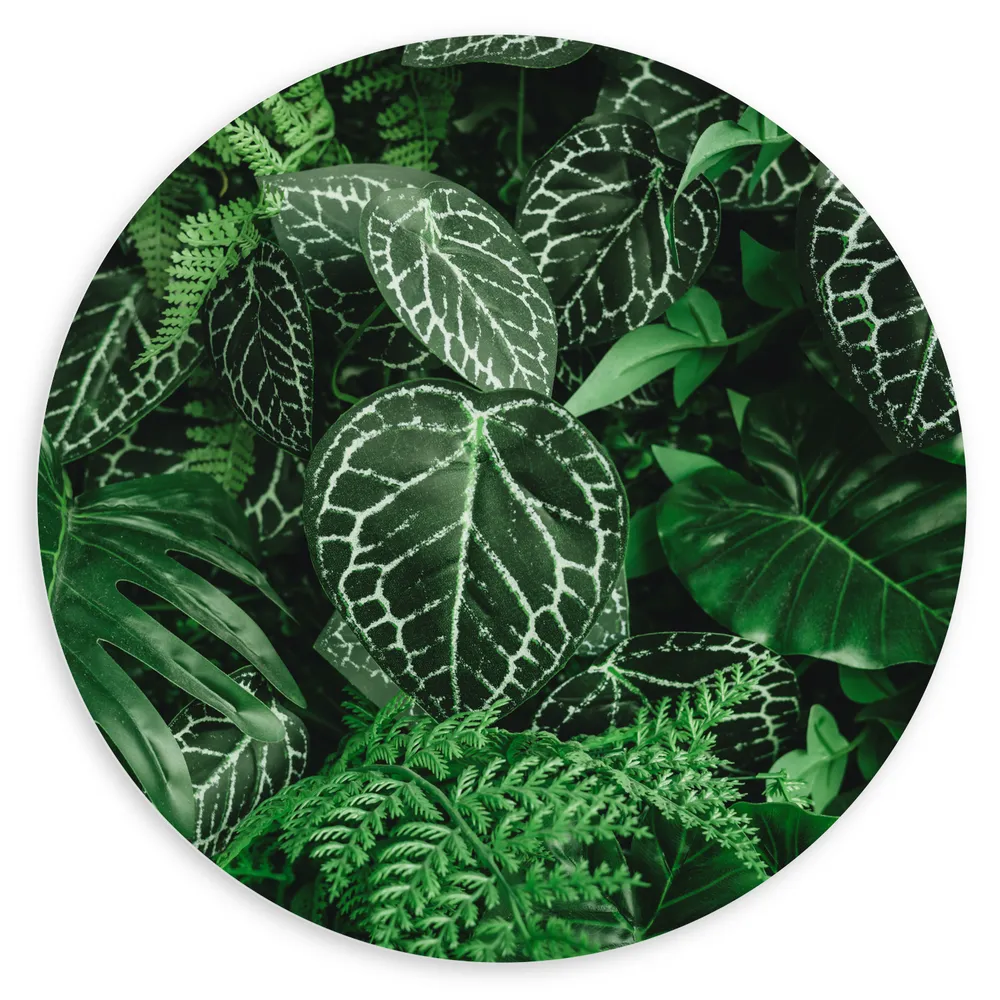Dibond Muurcirkel - Close-up van Groene Bladeren met Wit Patroon