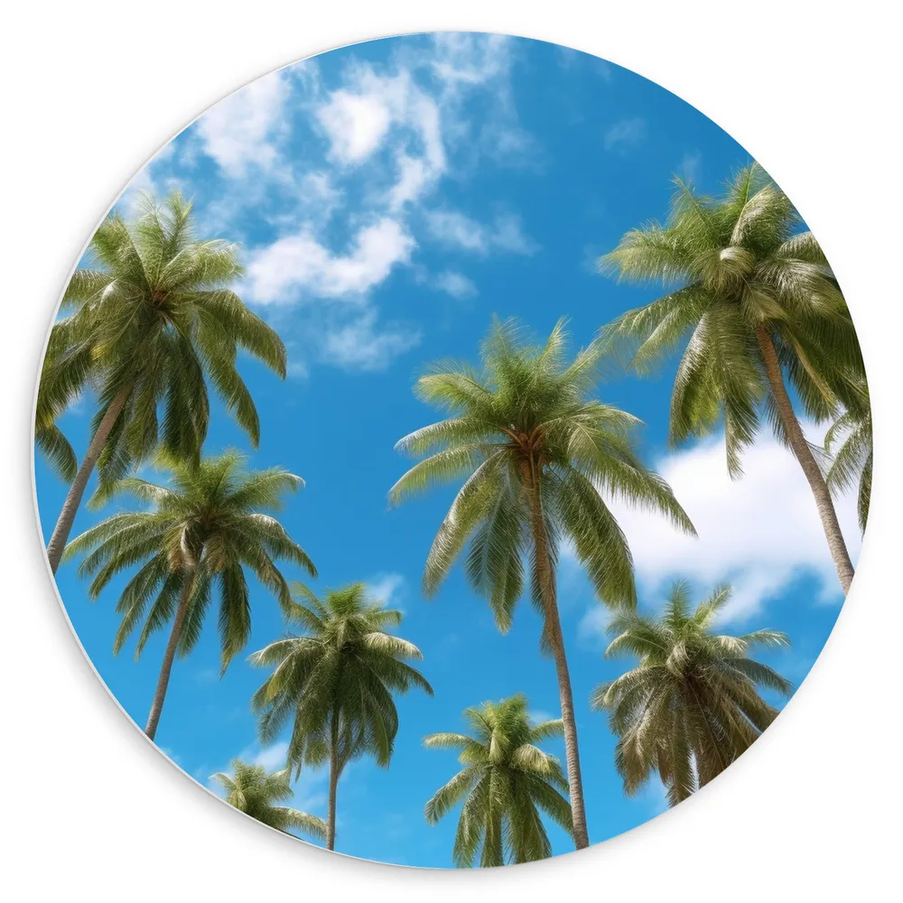 Dibond Muurcirkel - Bomen - Palmbomen - Tropisch - Wolken - Kleuren