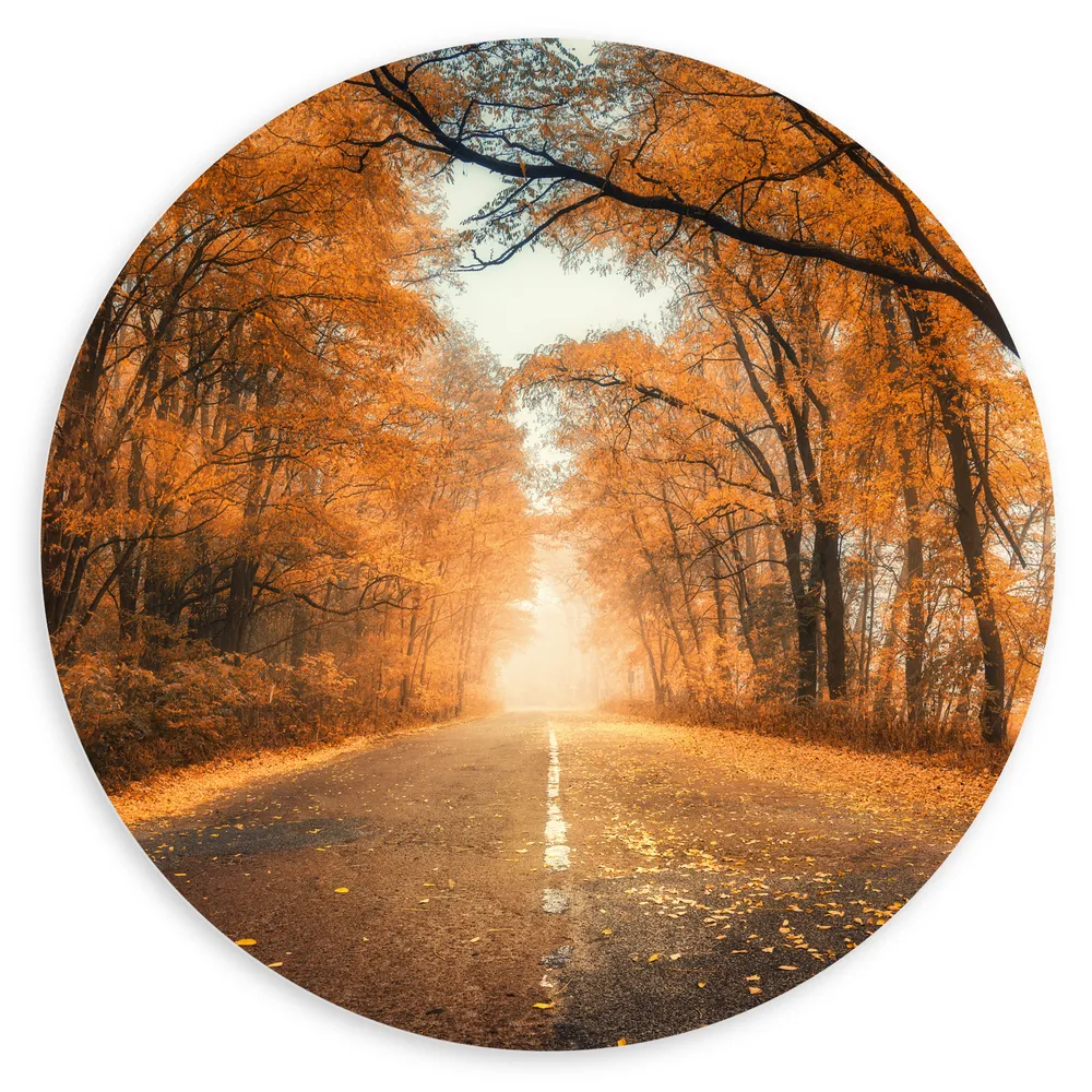 Dibond Muurcirkel - Weg vol Herfstbladeren door Herfstbos